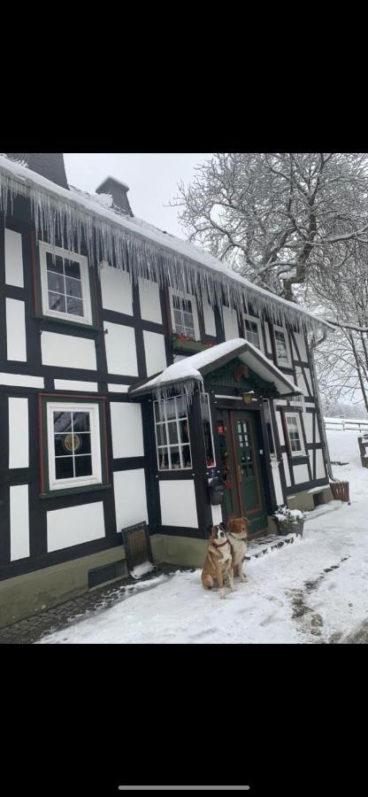 Berghof Schmitte Guest House Winterberg Exterior foto