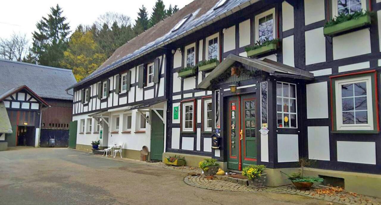Berghof Schmitte Guest House Winterberg Exterior foto