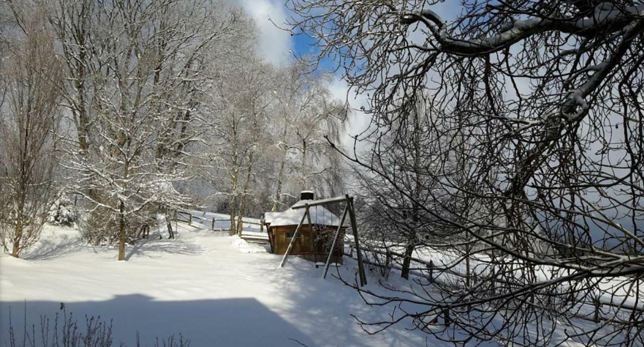 Berghof Schmitte Guest House Winterberg Exterior foto