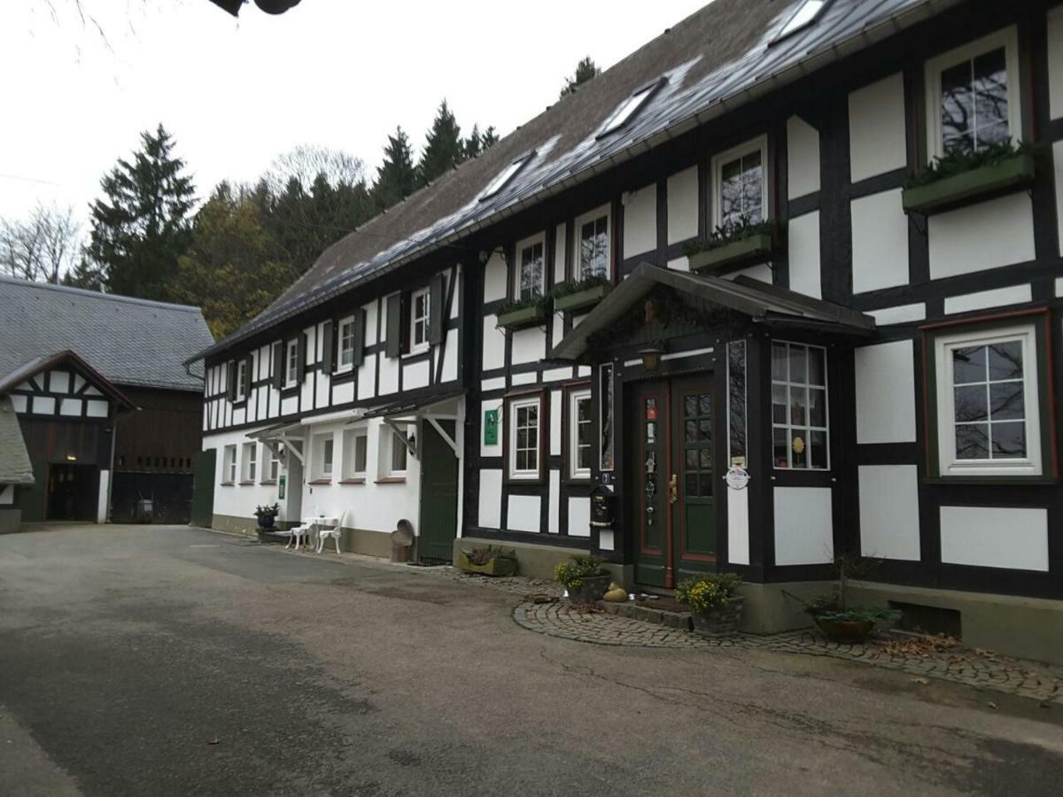 Berghof Schmitte Guest House Winterberg Exterior foto