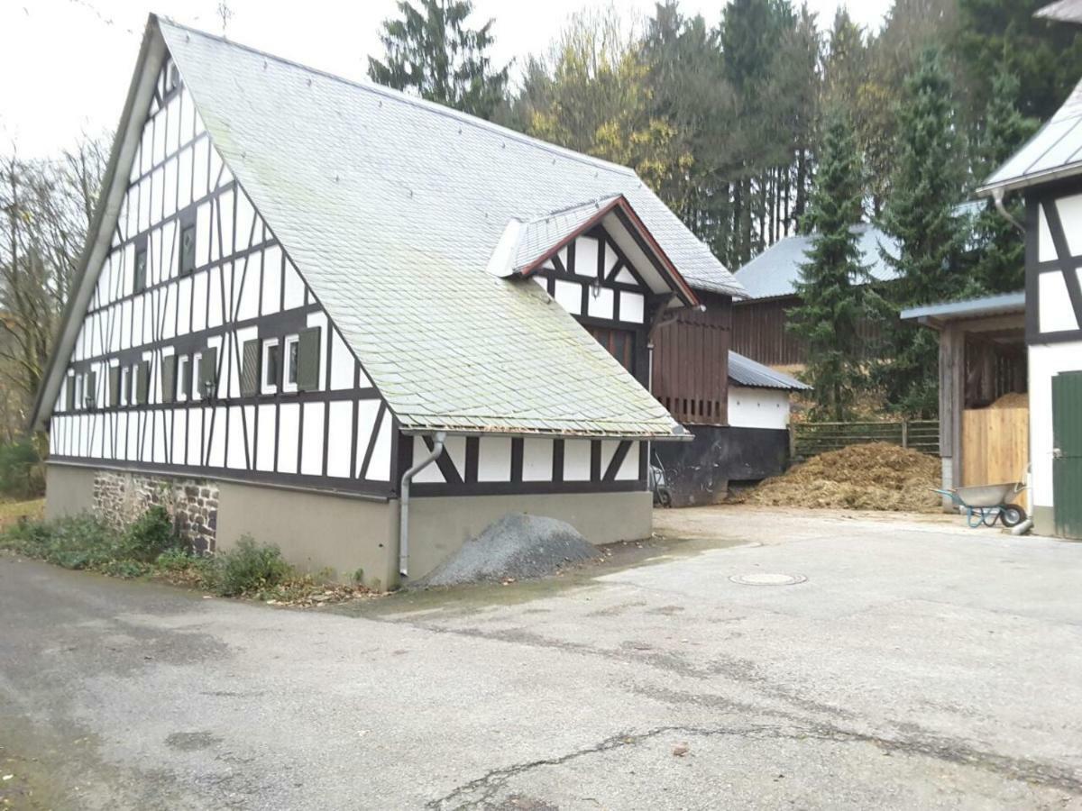 Berghof Schmitte Guest House Winterberg Exterior foto