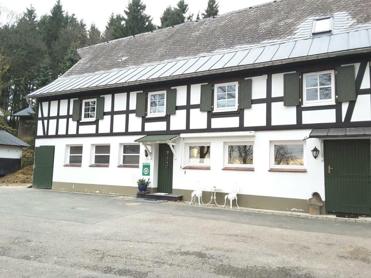 Berghof Schmitte Guest House Winterberg Exterior foto